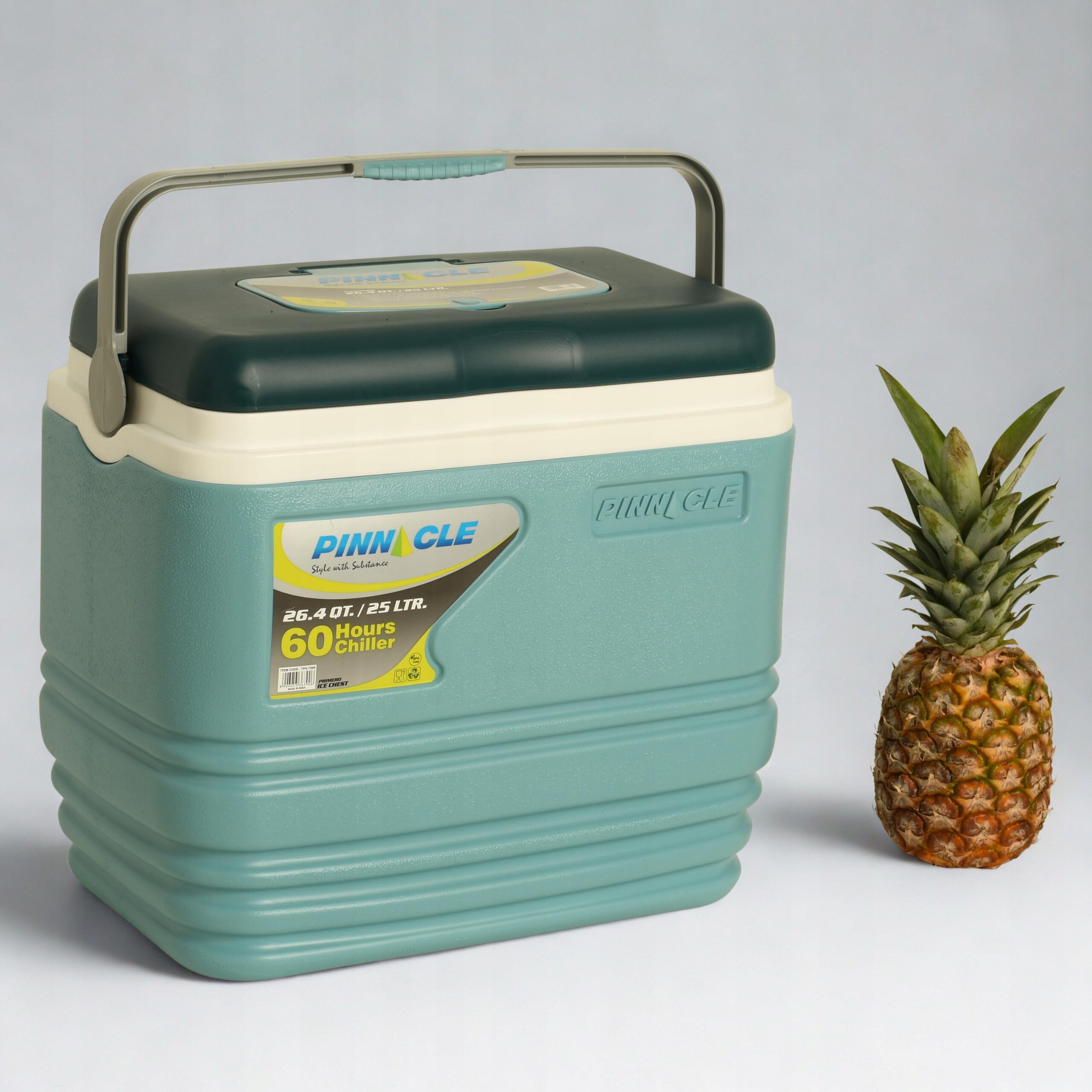 Lodówka turystyczna z Rączką PINNACLE TPX7006 25L + 3 Wkłady Chłodzące 6/7