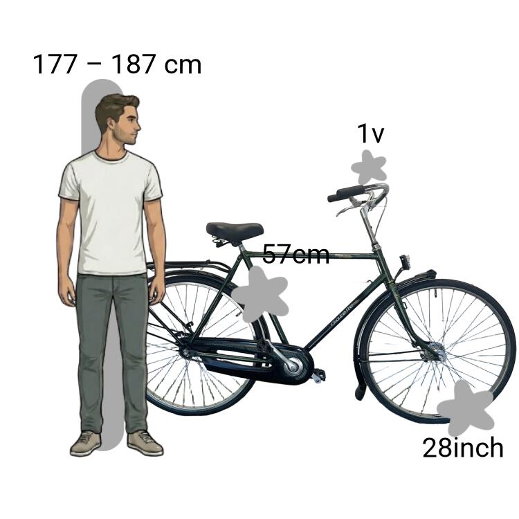 Gebraucht Gazelle Primeur 2/4