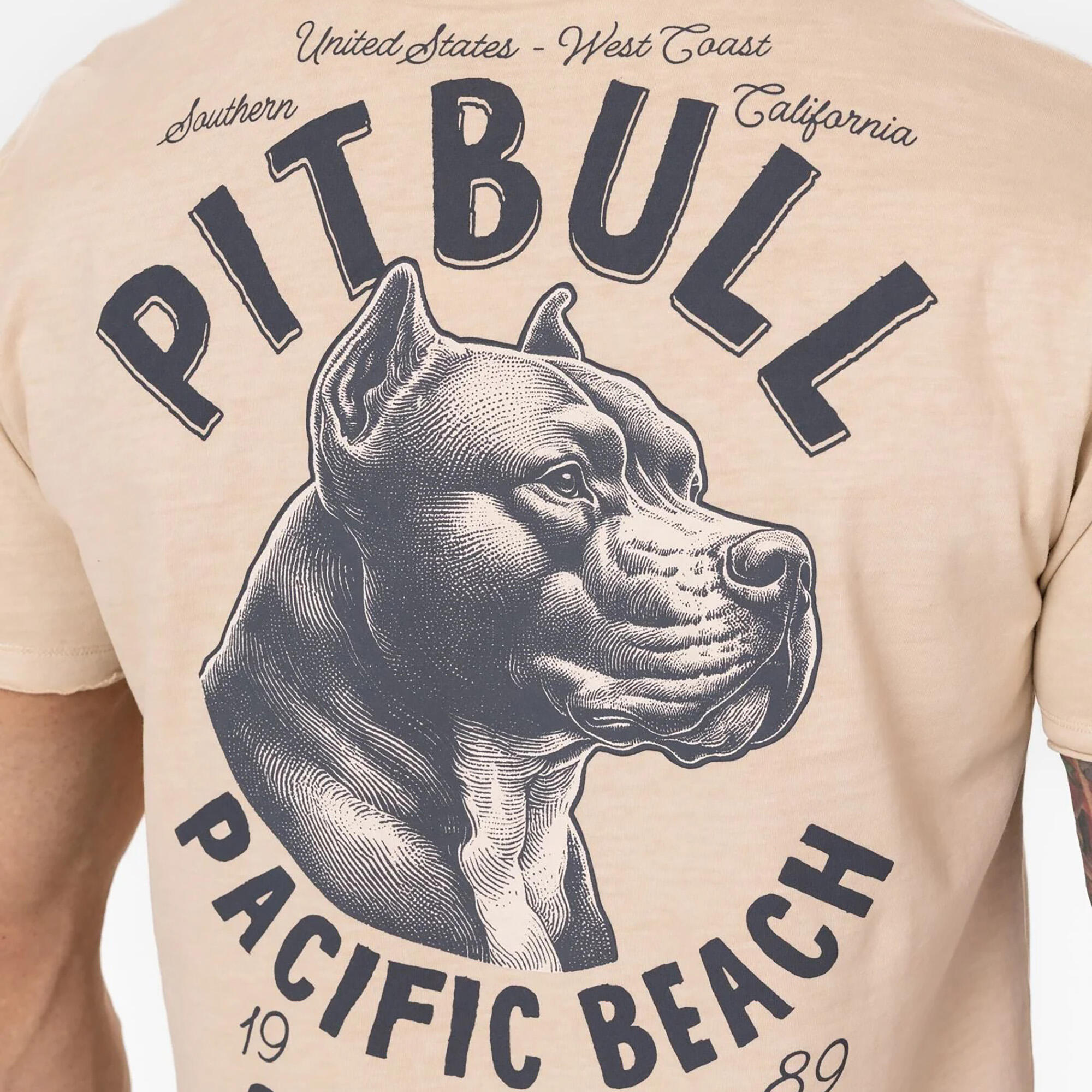 Koszulka męska Pitbull Pacyfic 3/7