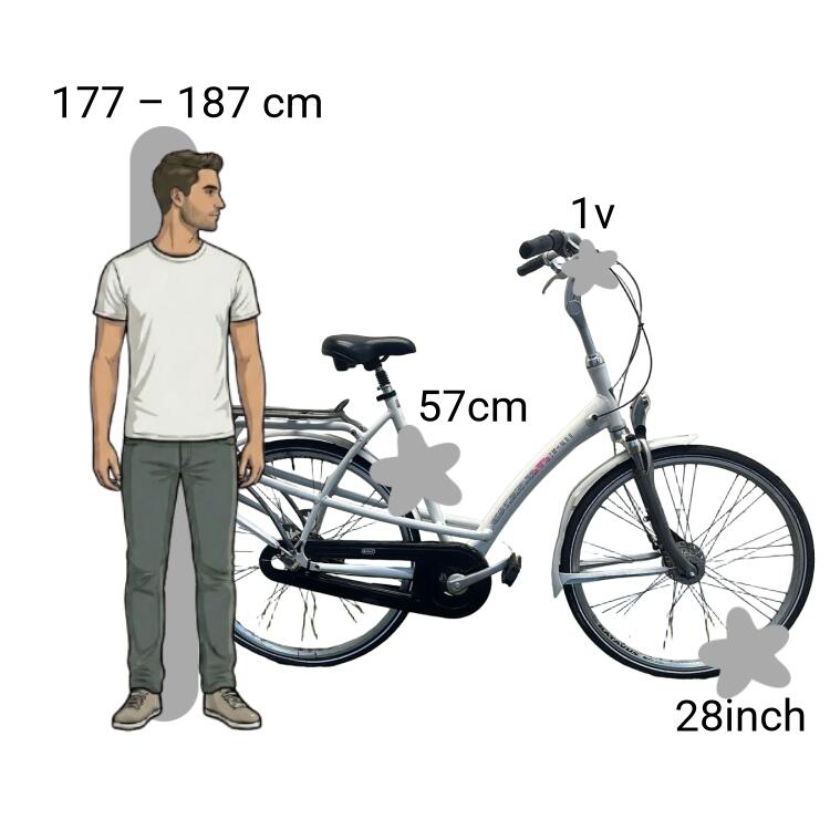 Gebraucht Batavus Mambo 2/4