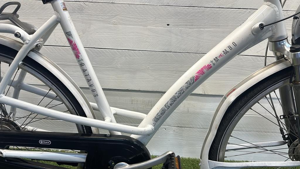 Gebraucht Batavus Mambo 4/4