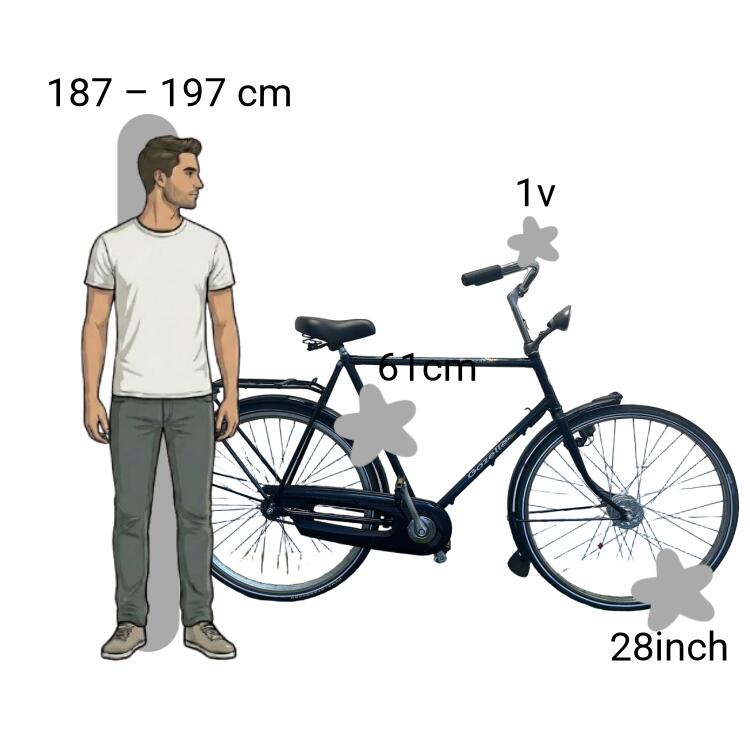 Gebraucht Gazelle Primeur 2/4