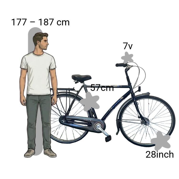 Gebraucht Gazelle Trendy 2/4
