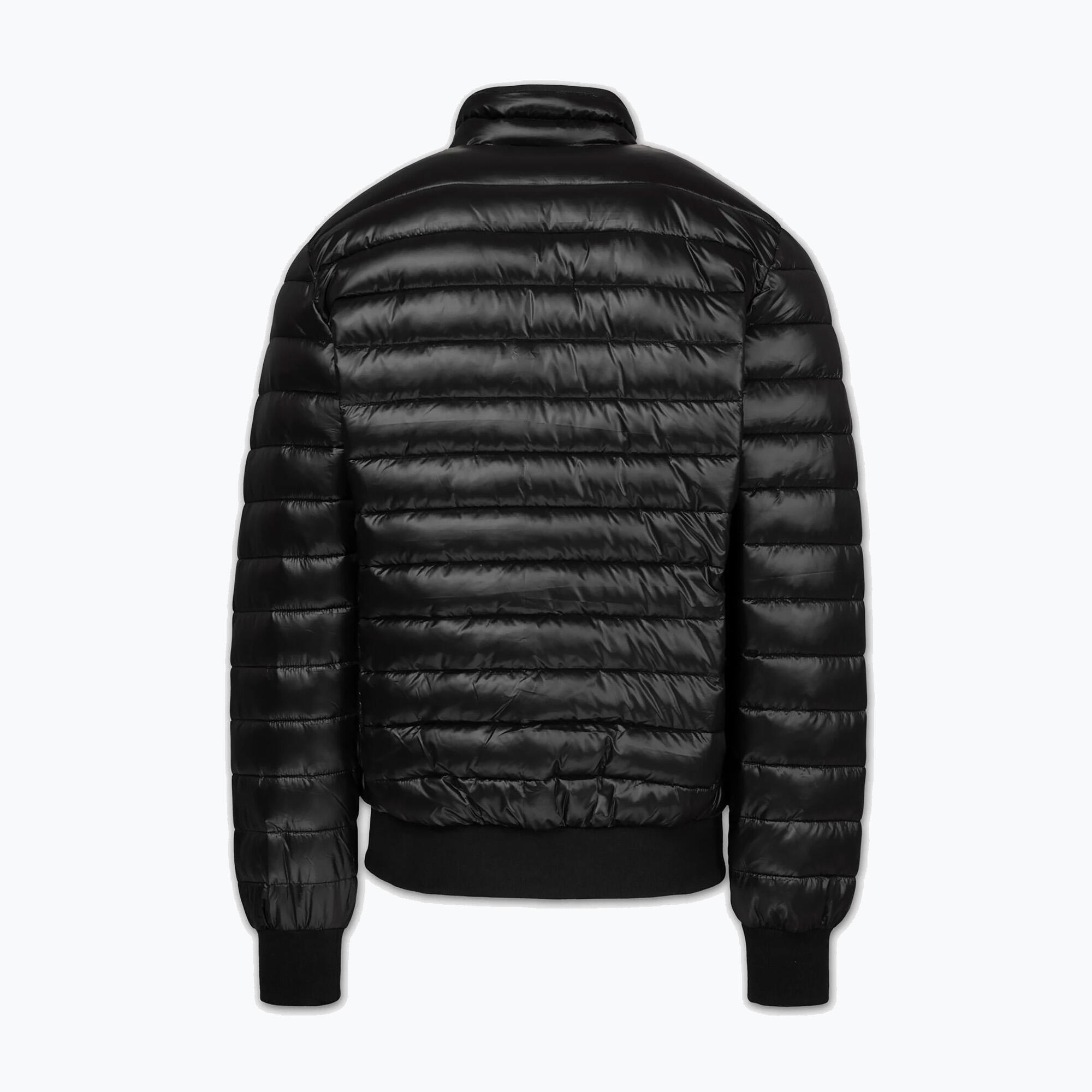 Kurtka męska Pitbull Harper Padded 6/7