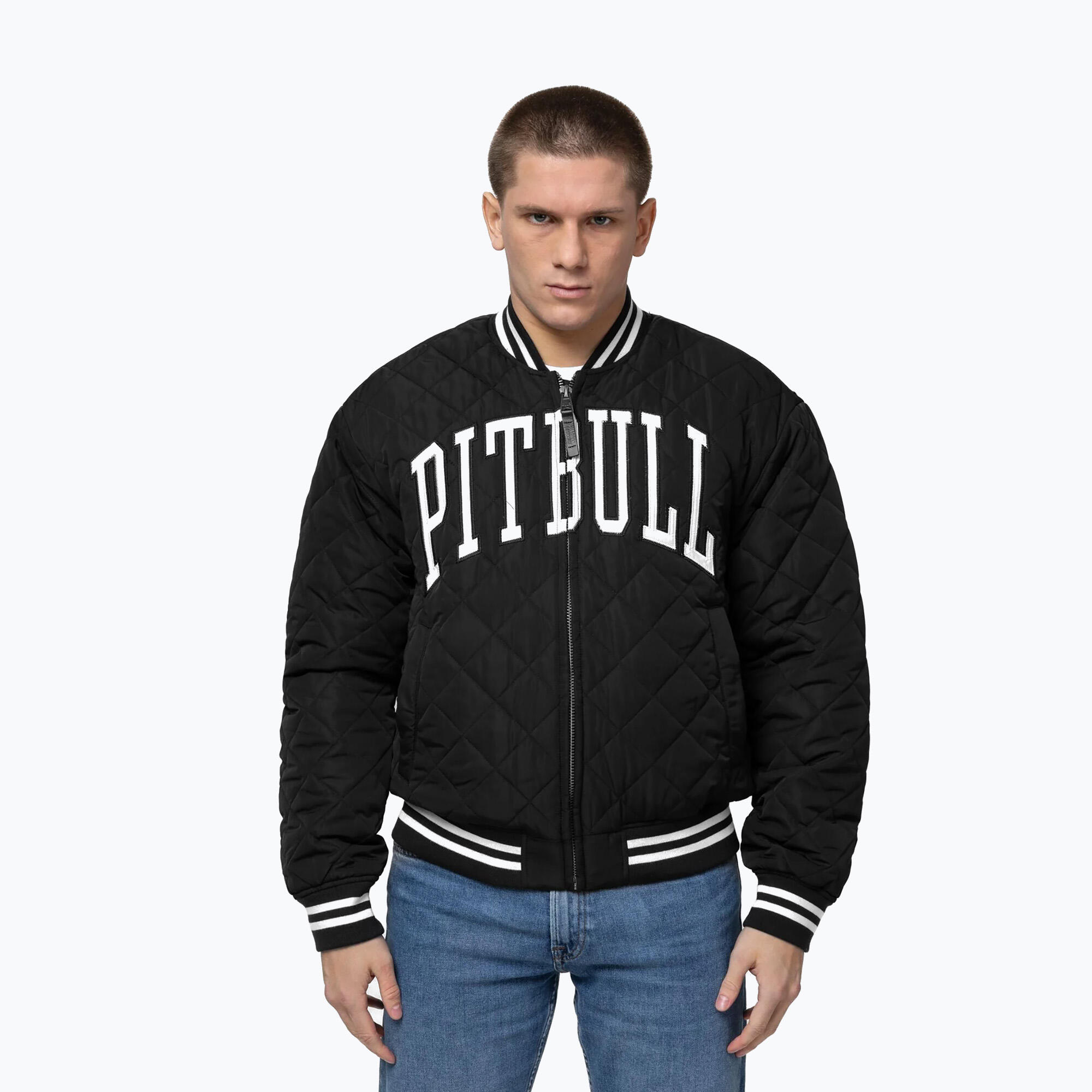 PITBULL picture