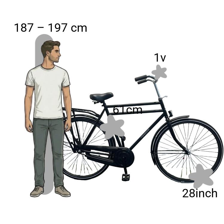 Gebraucht BSP 2/4