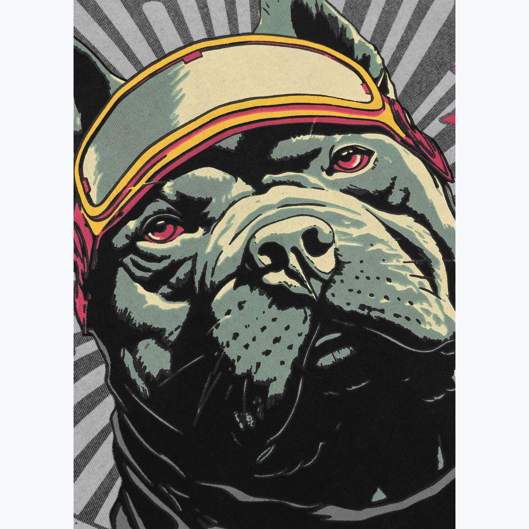 Koszulka męska Pitbull Mt. Fuji 6/7