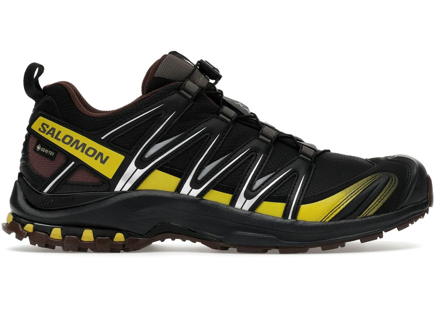 SALOMON picture