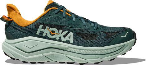 HOKA picture