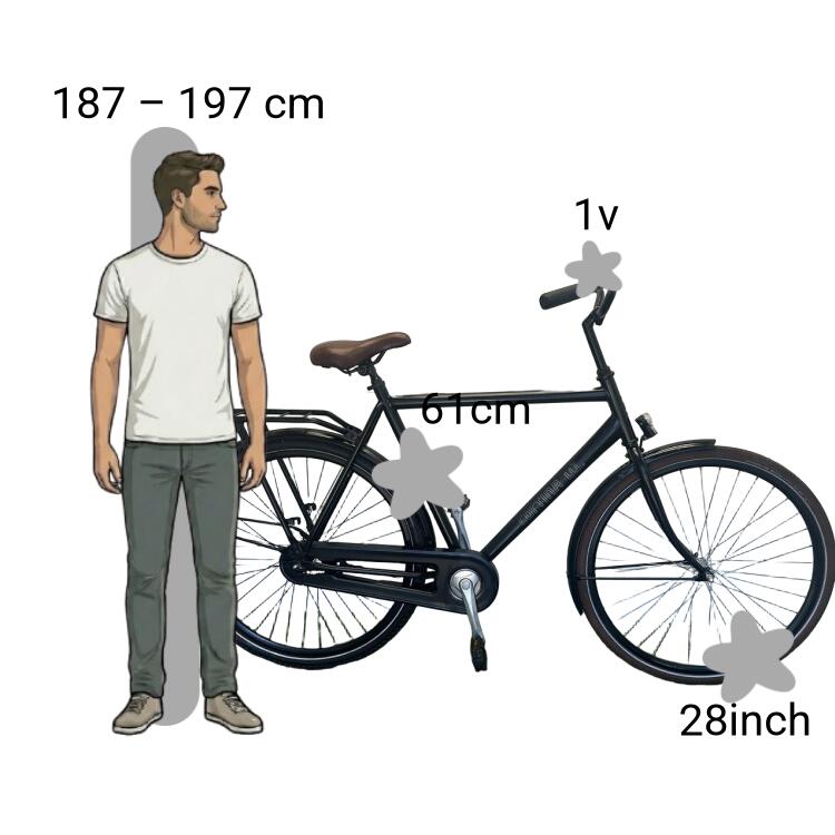 Gebraucht Cortina U1 2/4