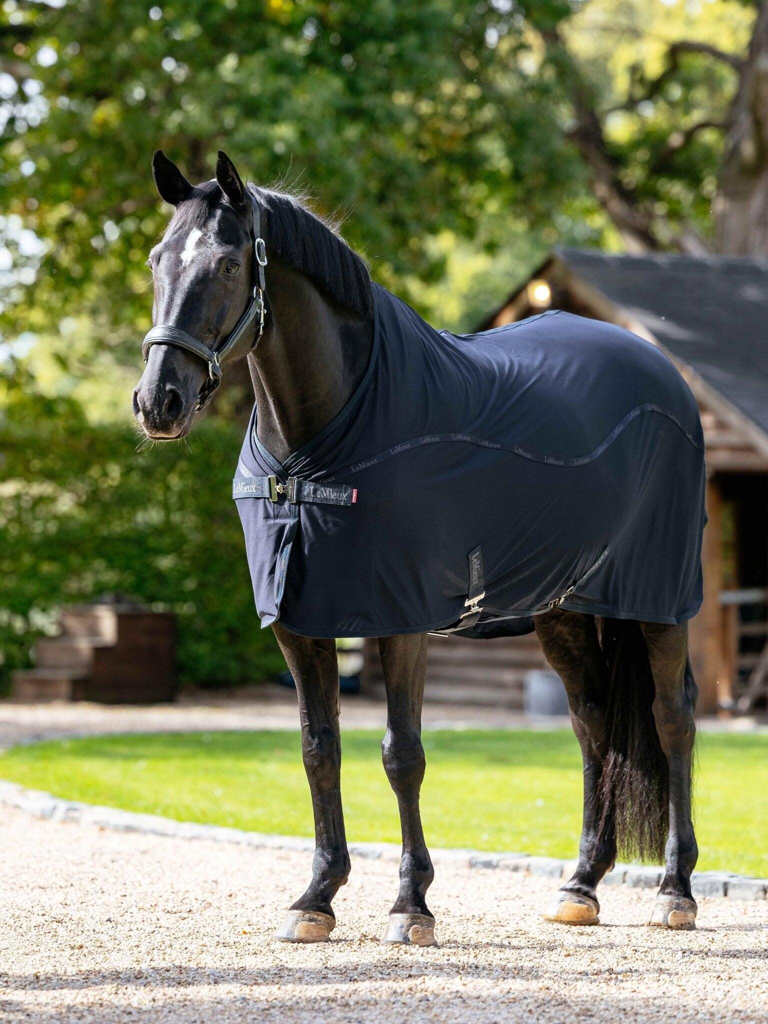 Couverture polaire pour cheval LeMieux Arika Jersey-Tek 7/7