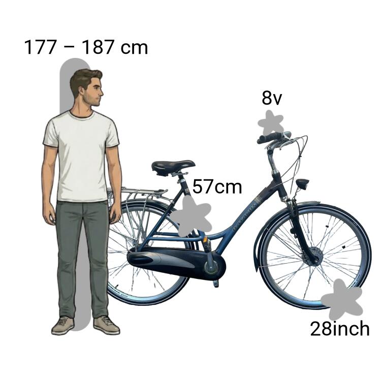 Gebraucht Batavus Staccato 2/4