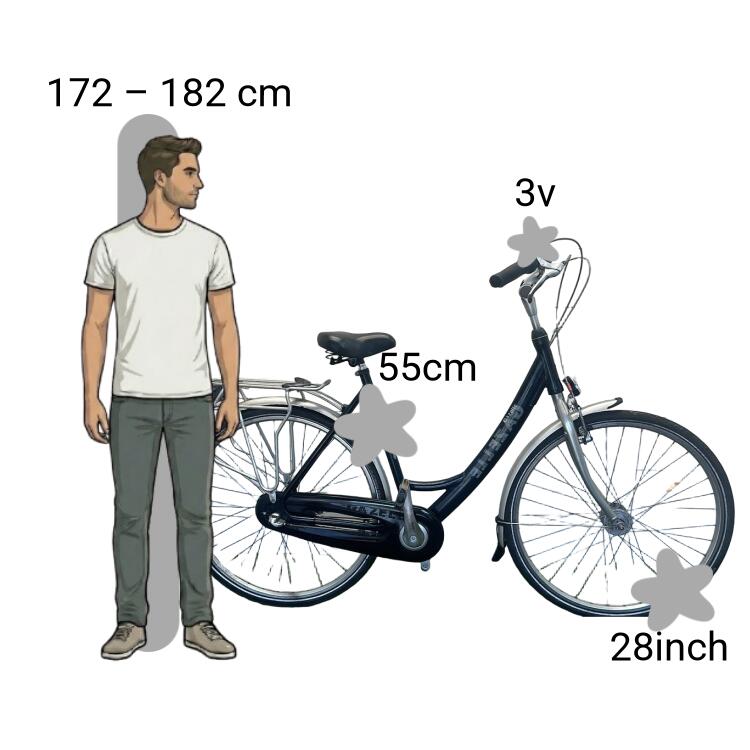 Gebraucht Gazelle Esprit 2/4