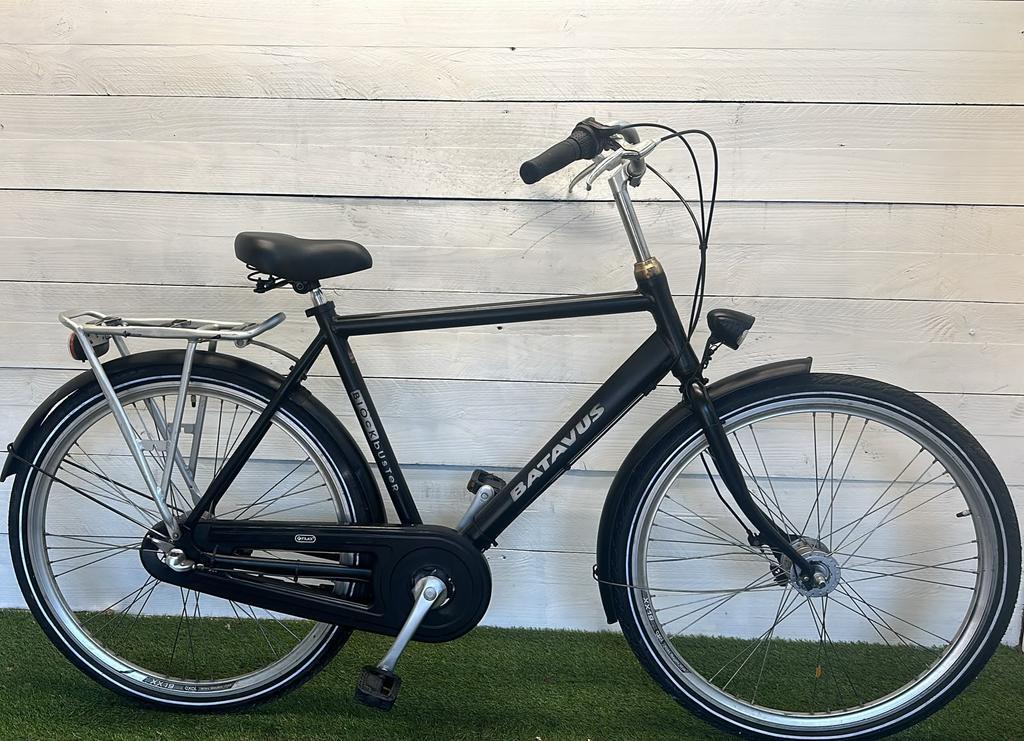 BATAVUS picture