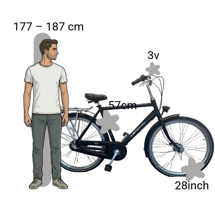 Gebraucht Batavus Blockbuster 2/4
