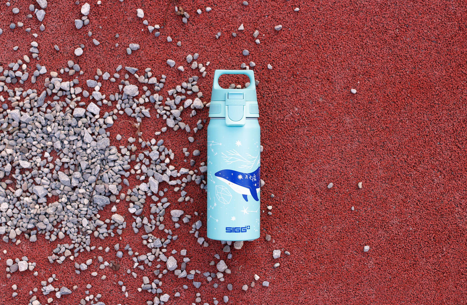 Gourde enfant SIGG WMB ONE Dive 0,6L 100% made in Suisse 5/5