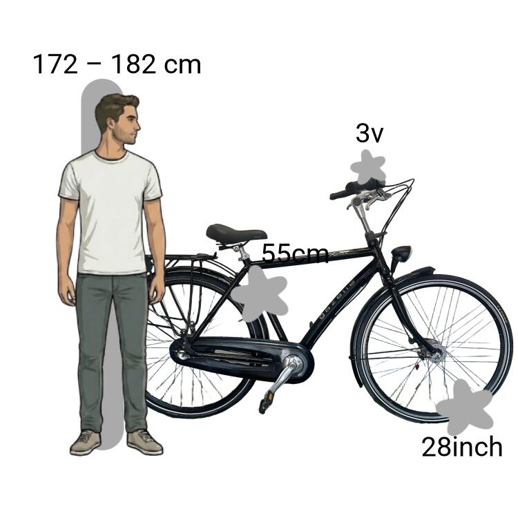 Gebraucht Gazelle Xanta 2/4