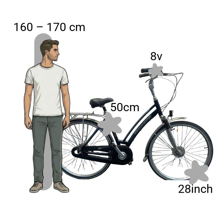 Gebraucht Gazelle Davos 2/4