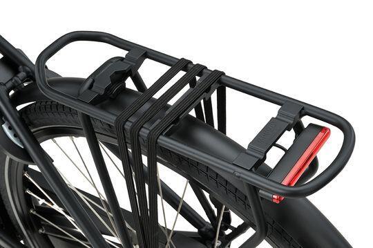 BATAVUS picture
