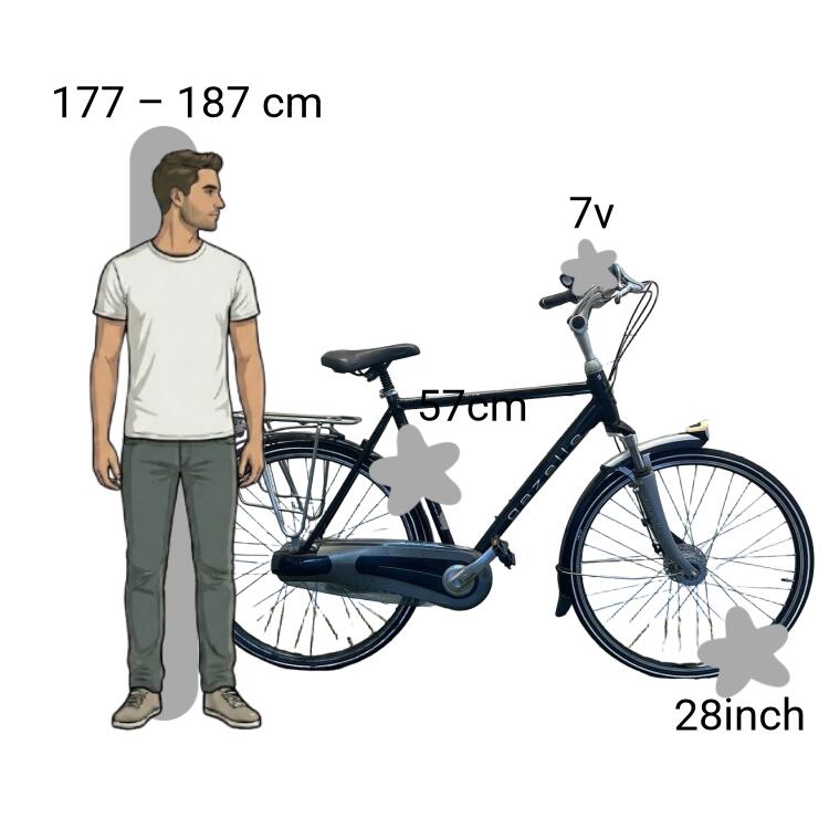 Bicicleta usada Gazelle Paris Plus 2/4