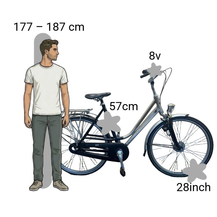 Gebraucht Batavus Staccato 2/4