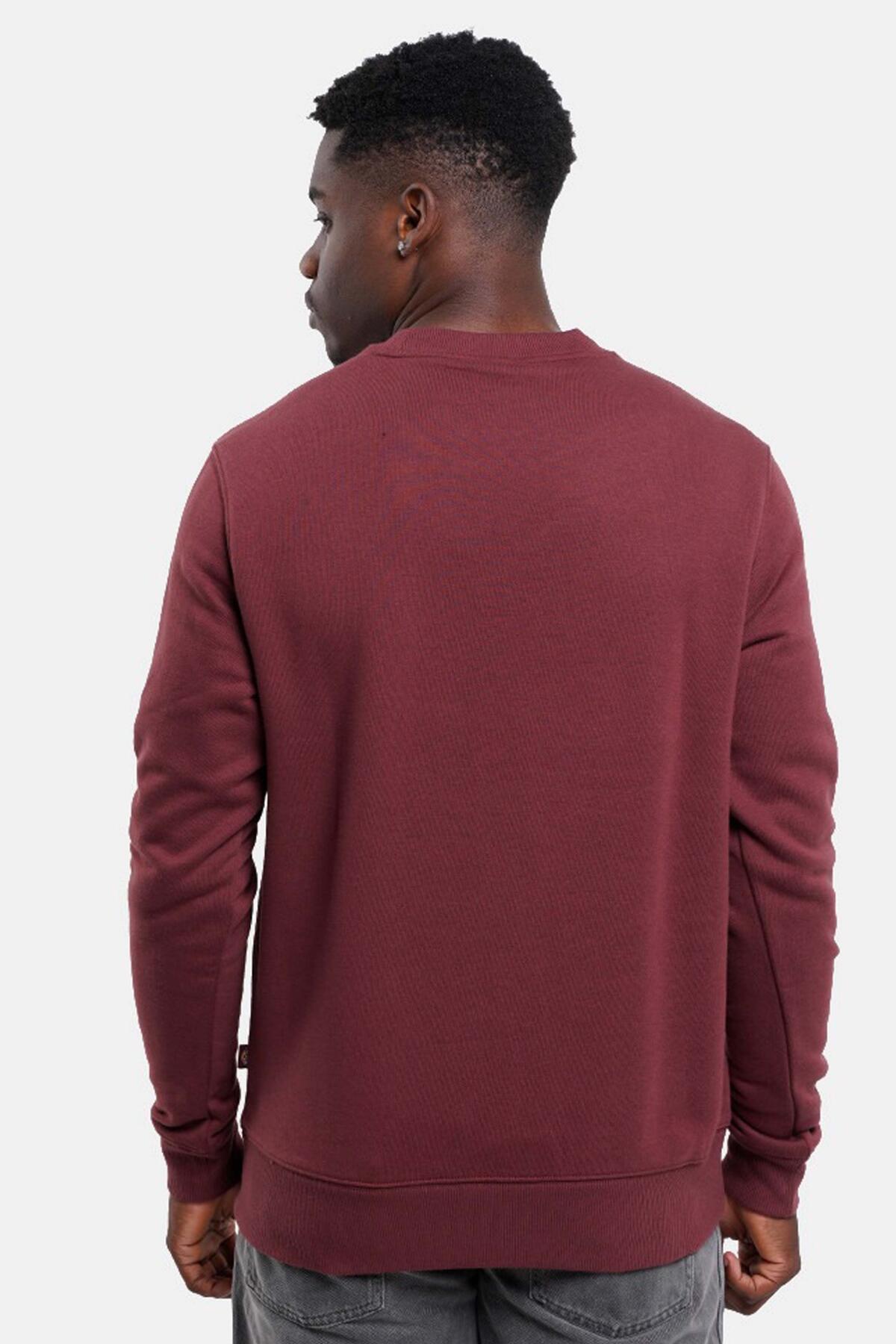 Camisola e moletom para homem Dickies Granada. 5/7