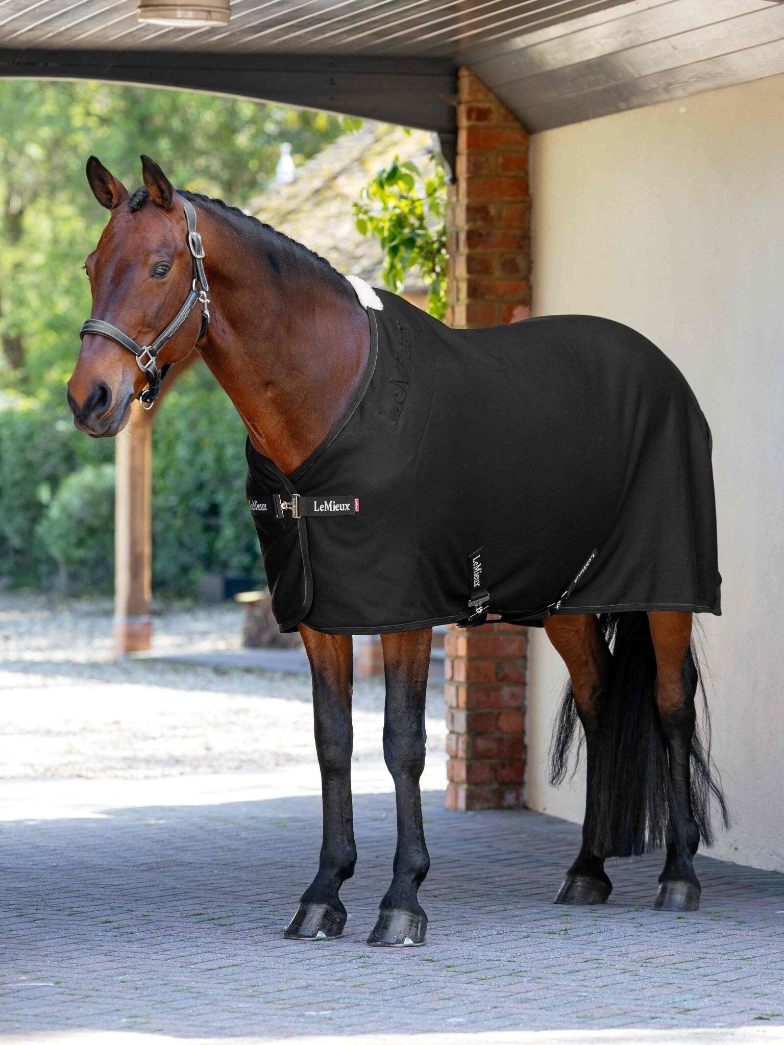 Couverture polaire pour cheval LeMieux Arika Jersey-Tek 6/7