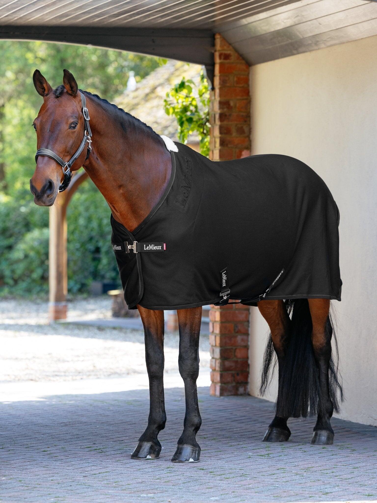 Couverture polaire pour cheval LeMieux Arika Jersey-Tek 2/7