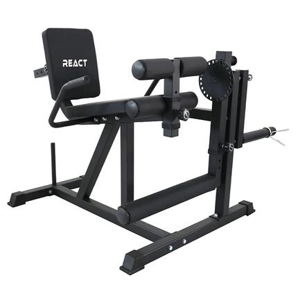 Machine React Leg Curl et Extension 100