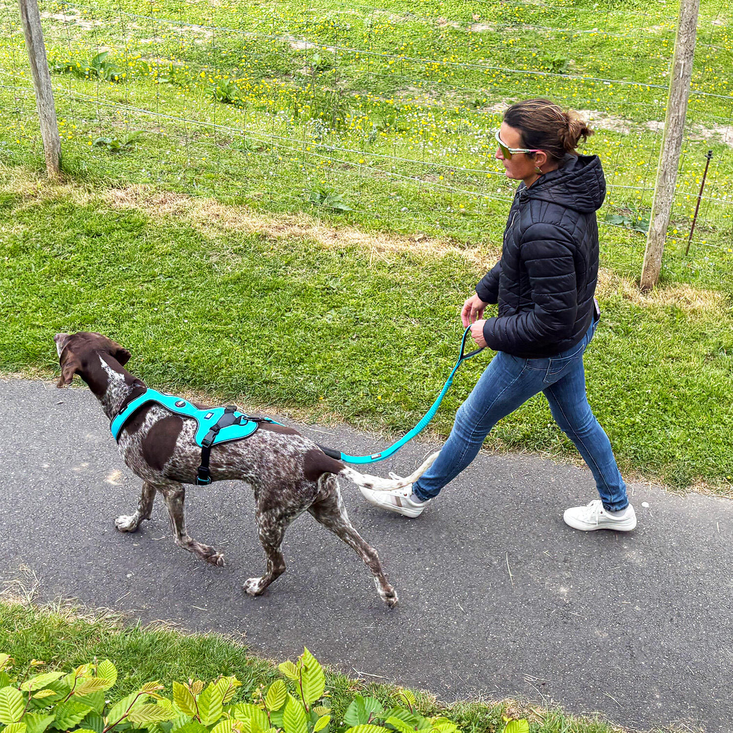 Harnais EASY pour chien, sport/loisirs Orange 3/7