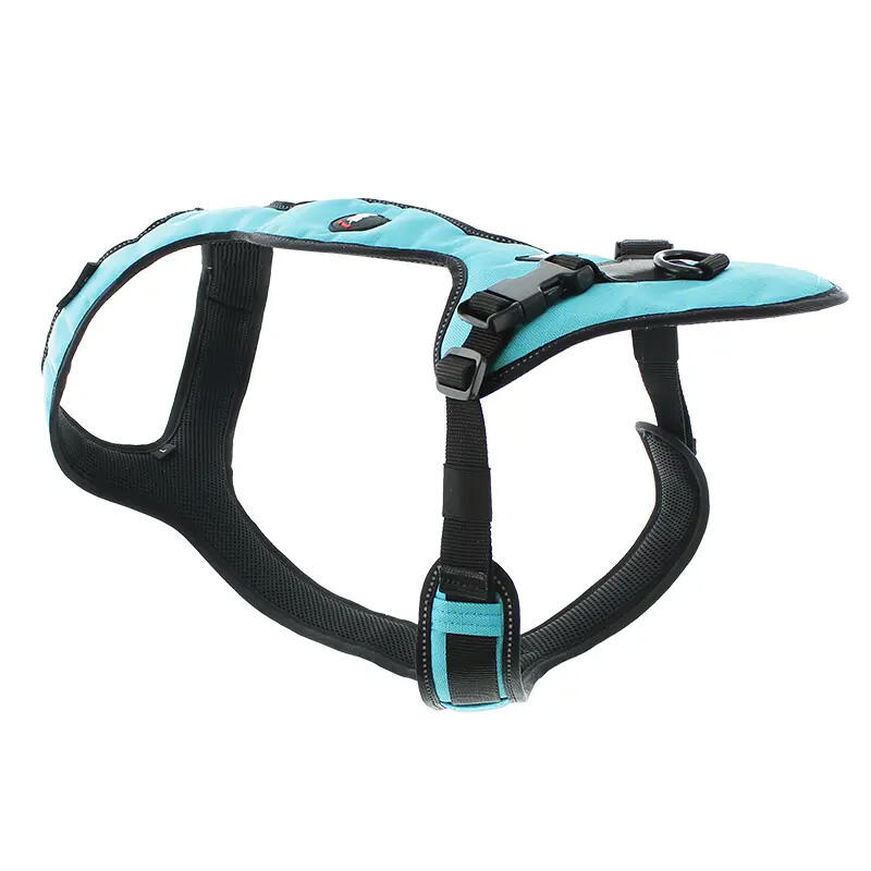 Harnais EASY pour chien, sport/loisirs Orange 2/7