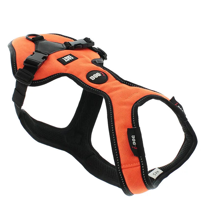 I-DOG picture