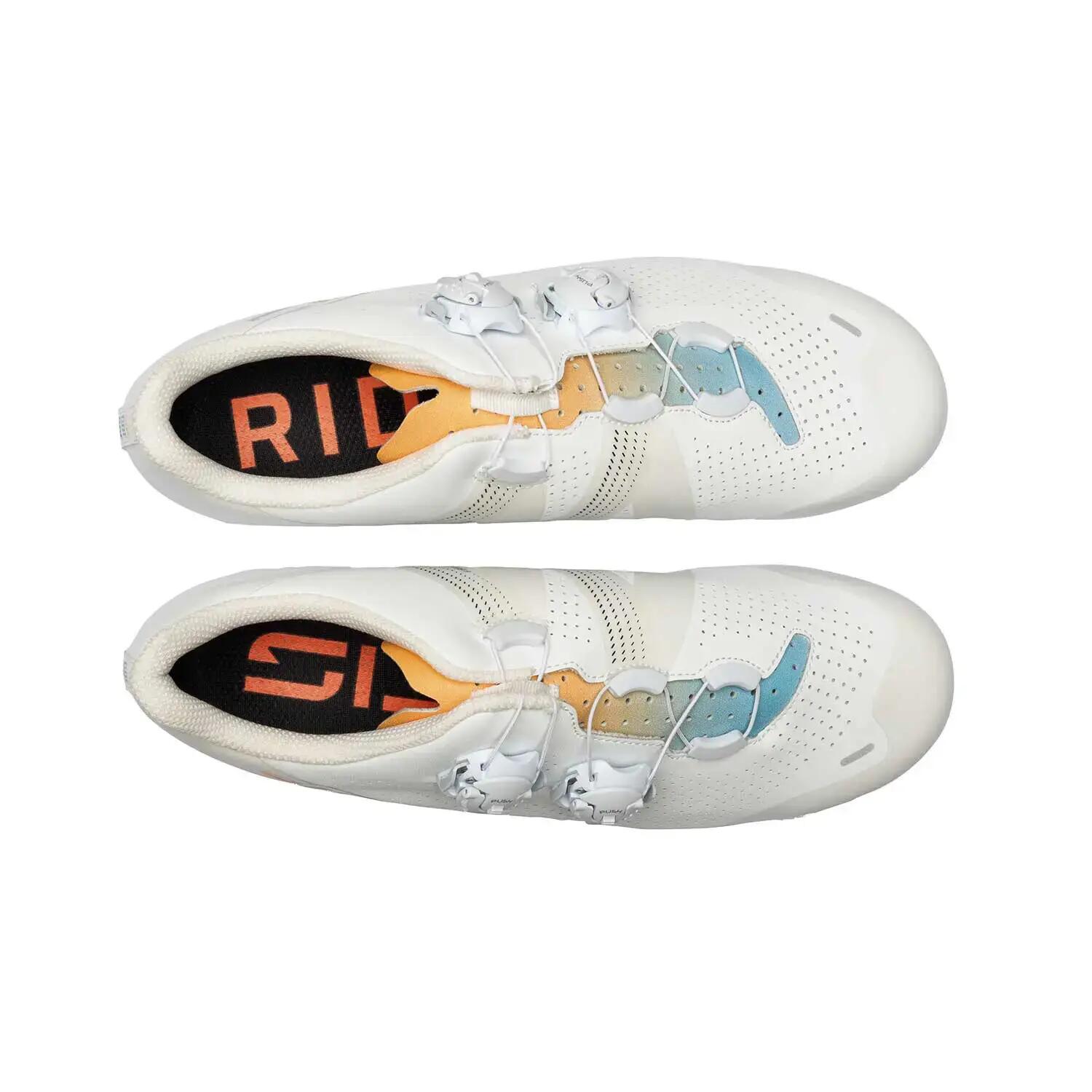 RR Ergo 6 3/5
