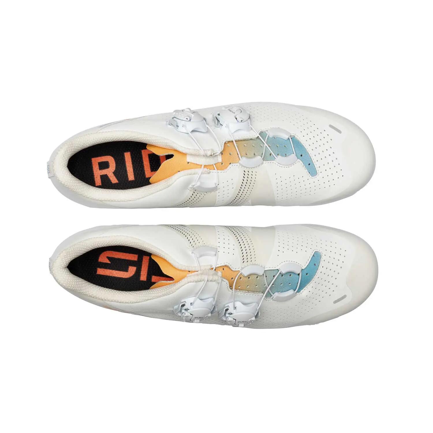 RR Ergo 6 3/5