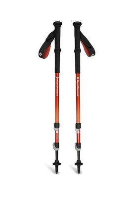 Bastoncino Trekking Trail Back 140Cm