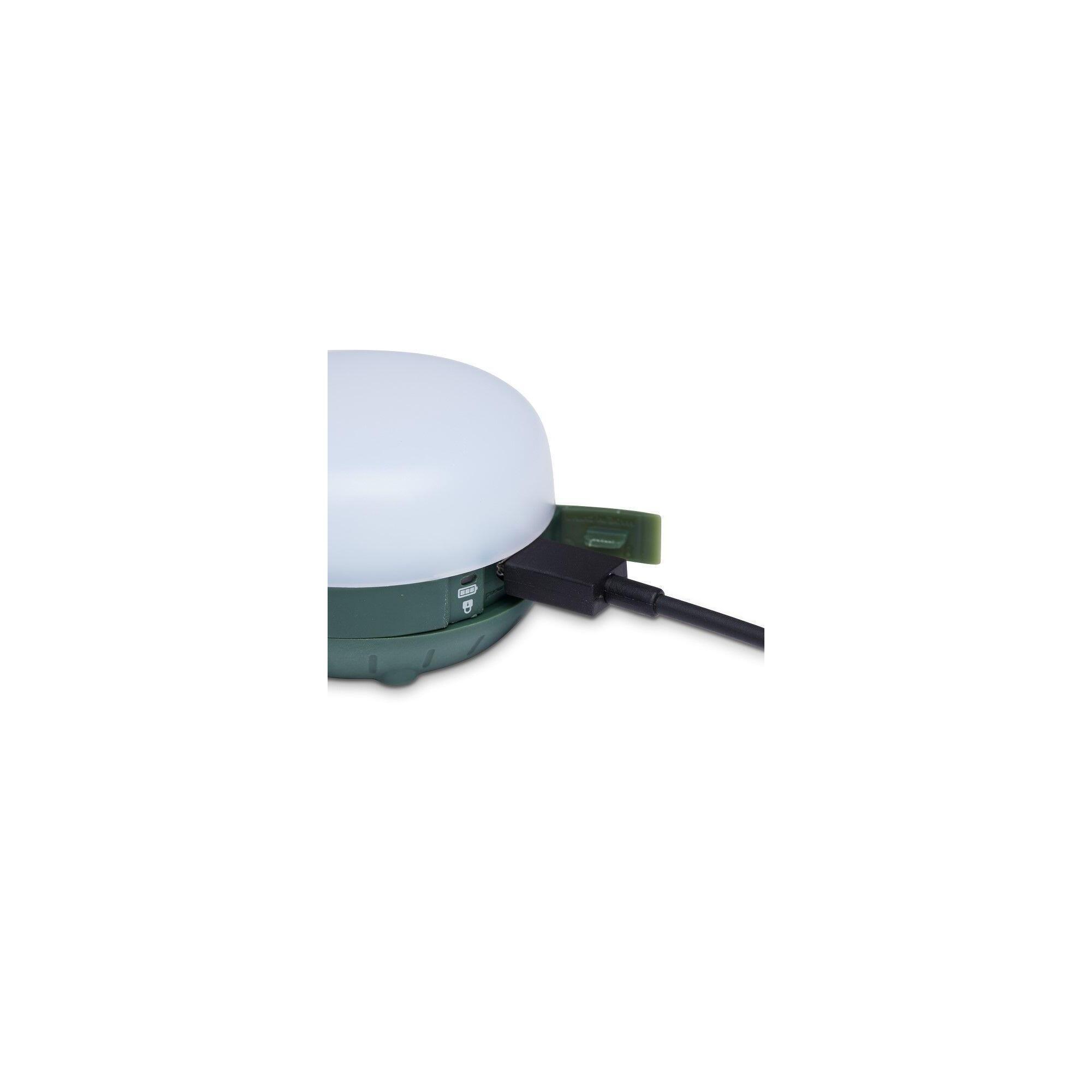 Lampka Moji R+ - Dark Laurel