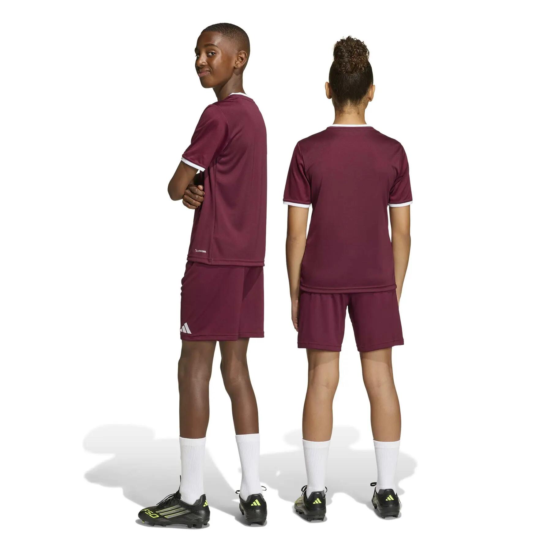 adidas Kinder Short Entrada 26 Shorts Y 6/12