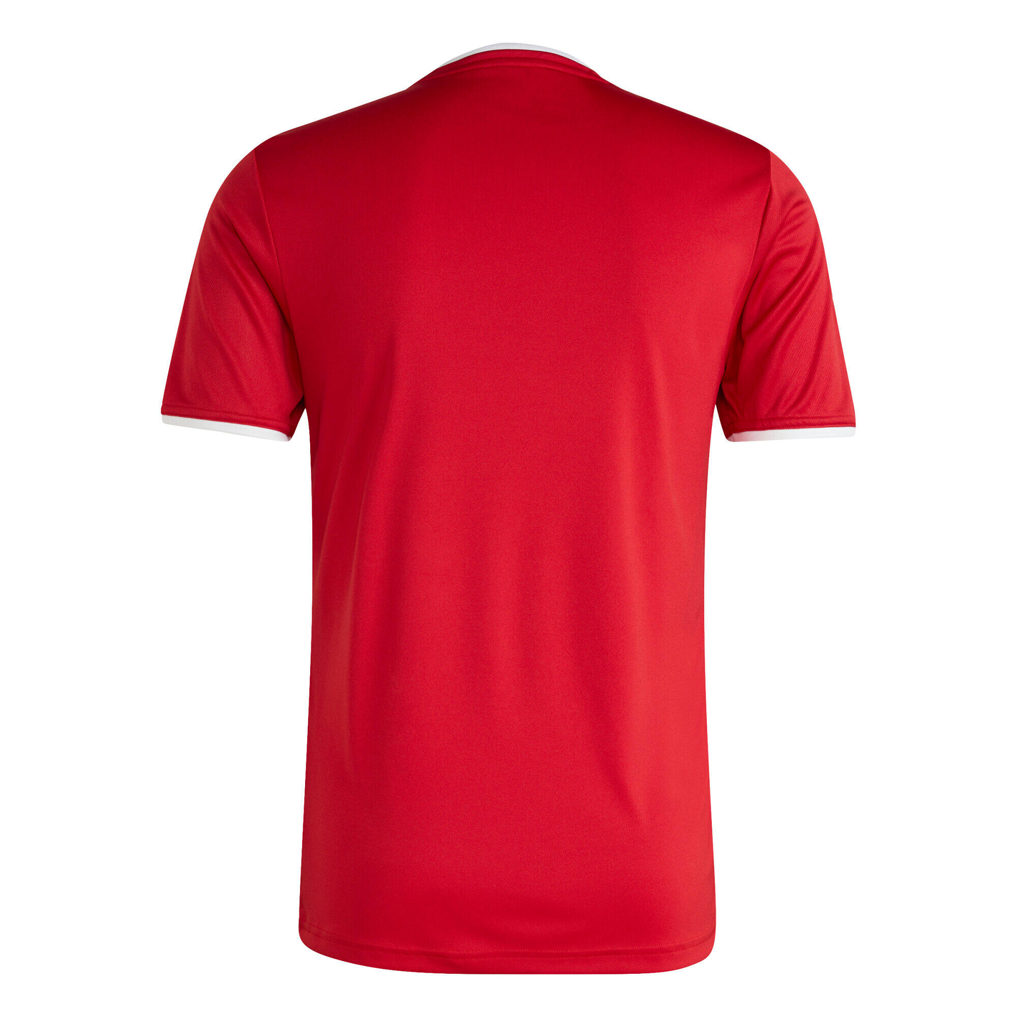 Entrada26 Voetbalshirt 8/13
