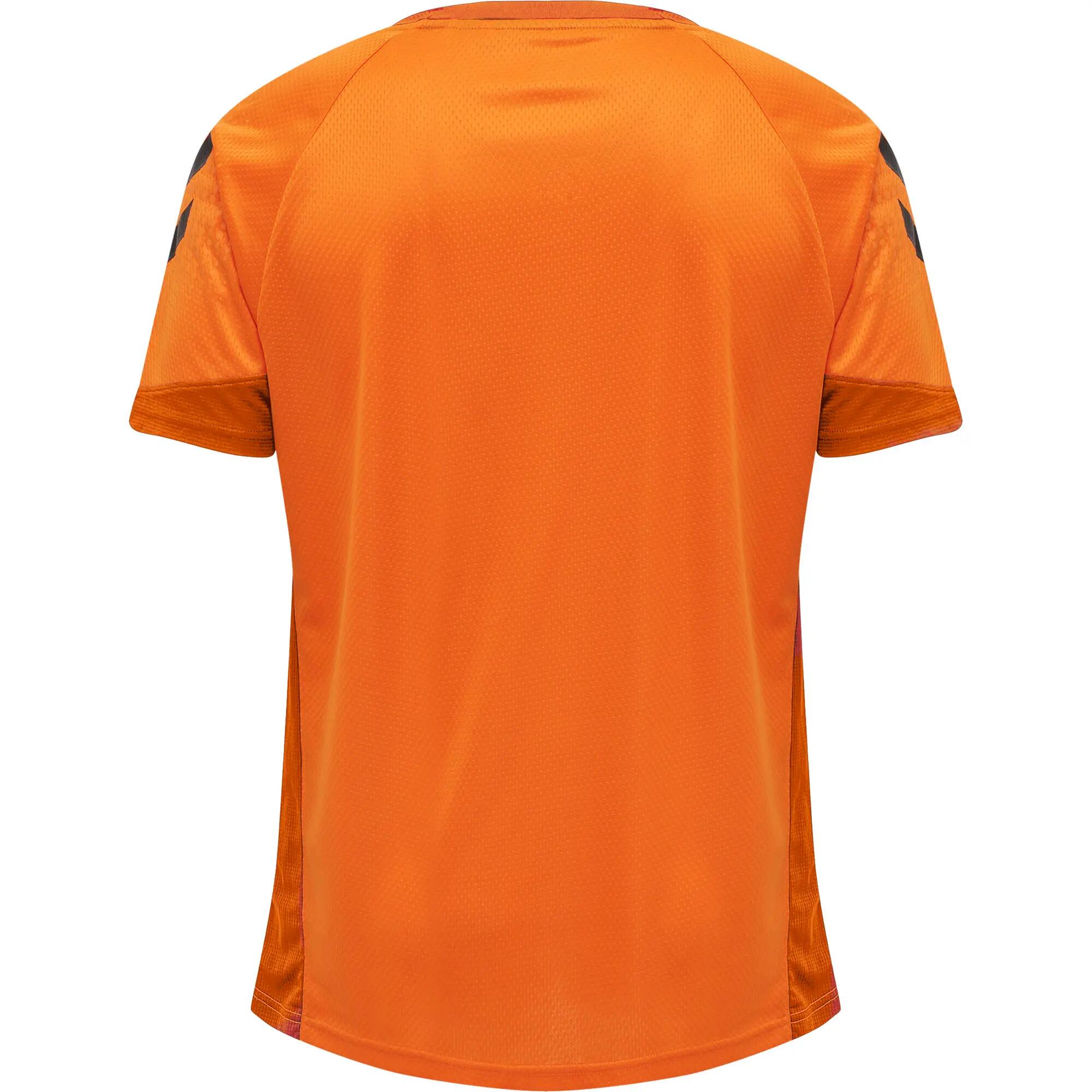 Camisola Hummel Lead Poly 10/13
