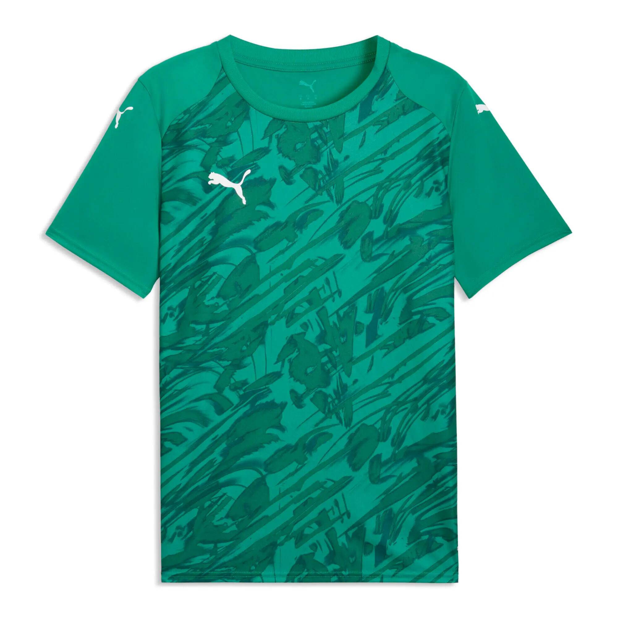 PUMA picture