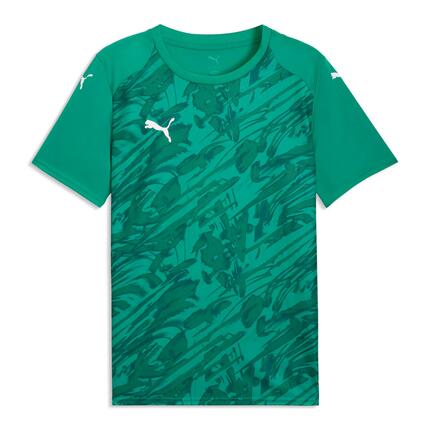 Maillot Puma Team Final Graphic