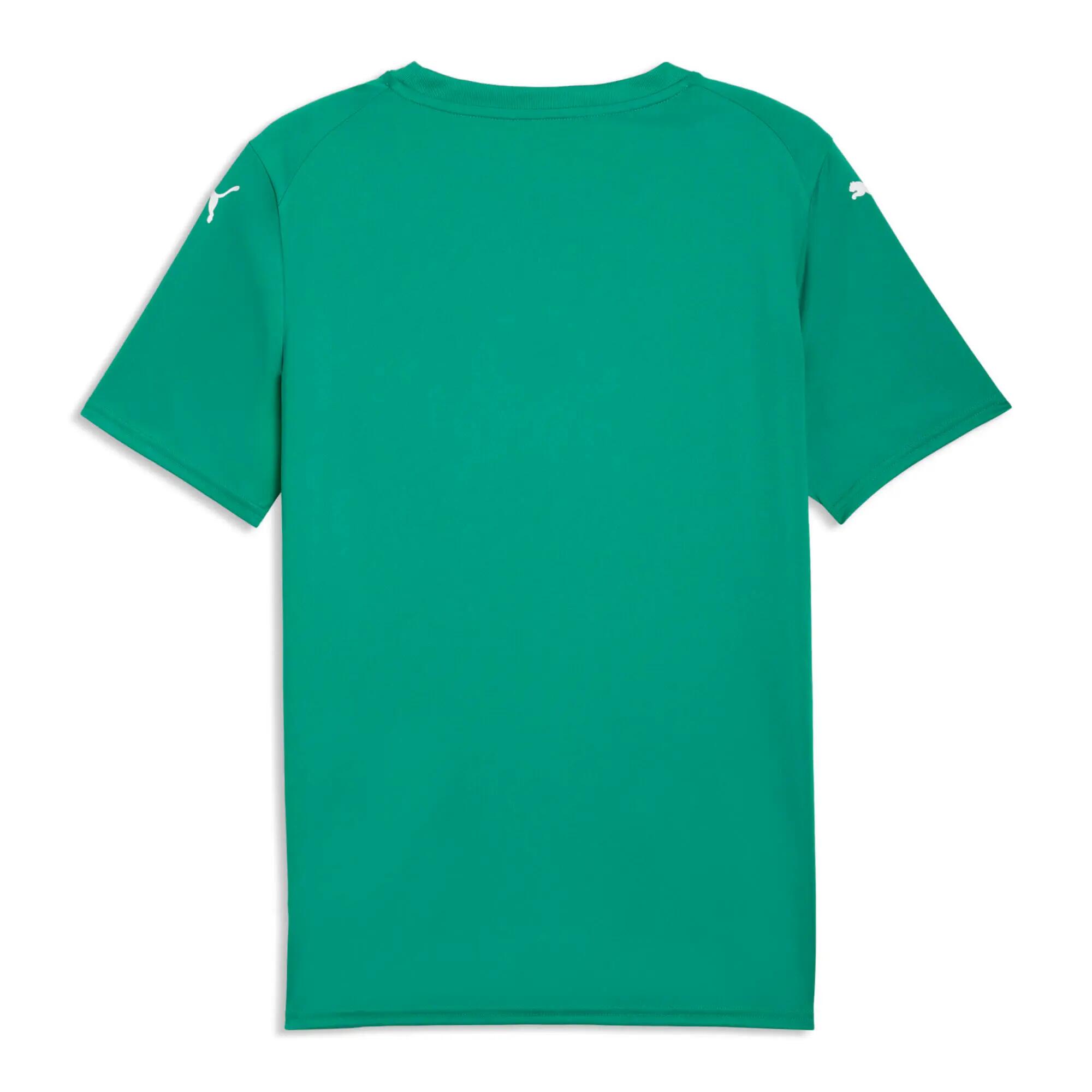 Puma Team Final Graphic Trikot 3/3