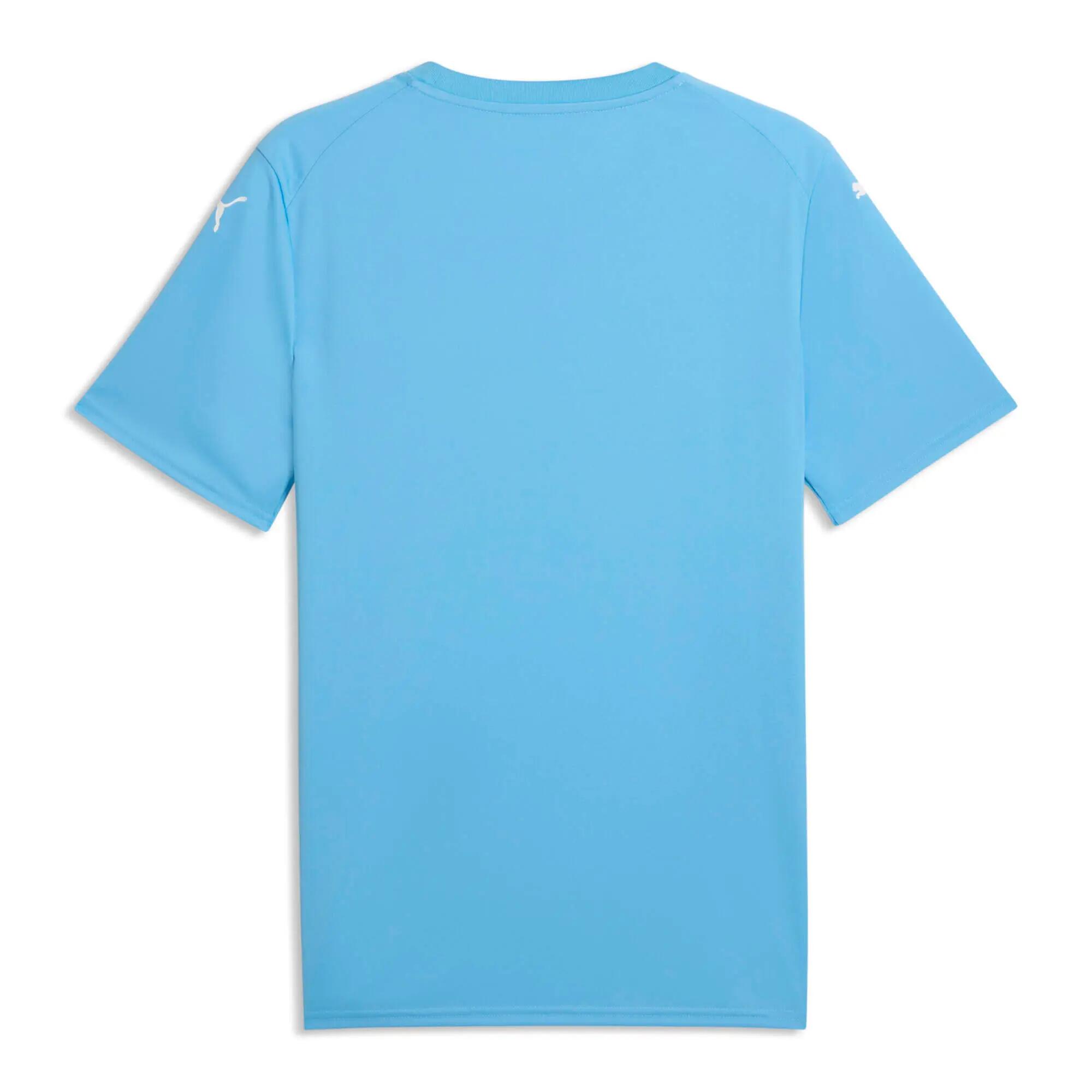 Maillot Puma Team Final Graphic 3/3