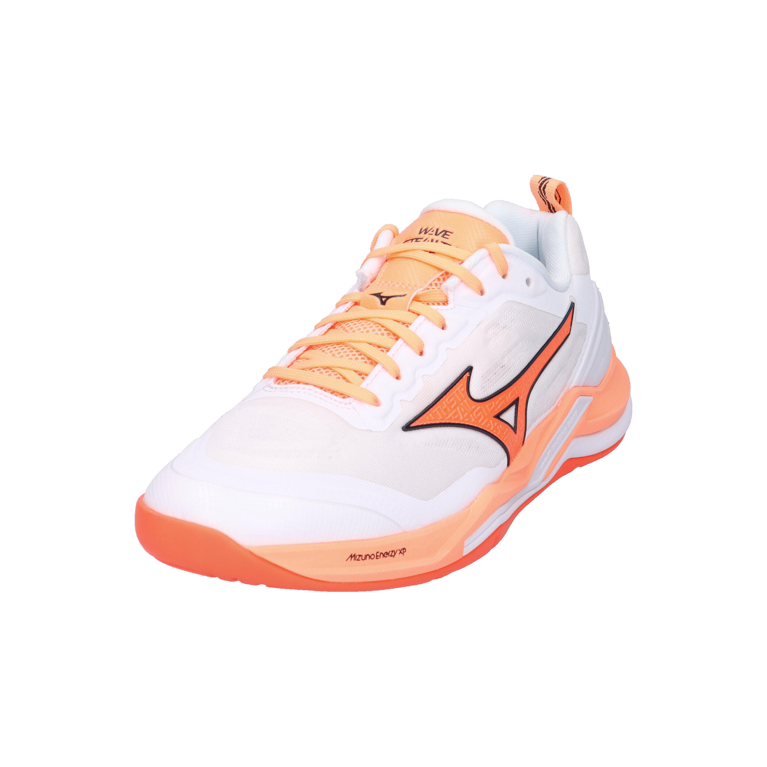 Indoor schoenen Mizuno Wave Stealth Elite 4/15