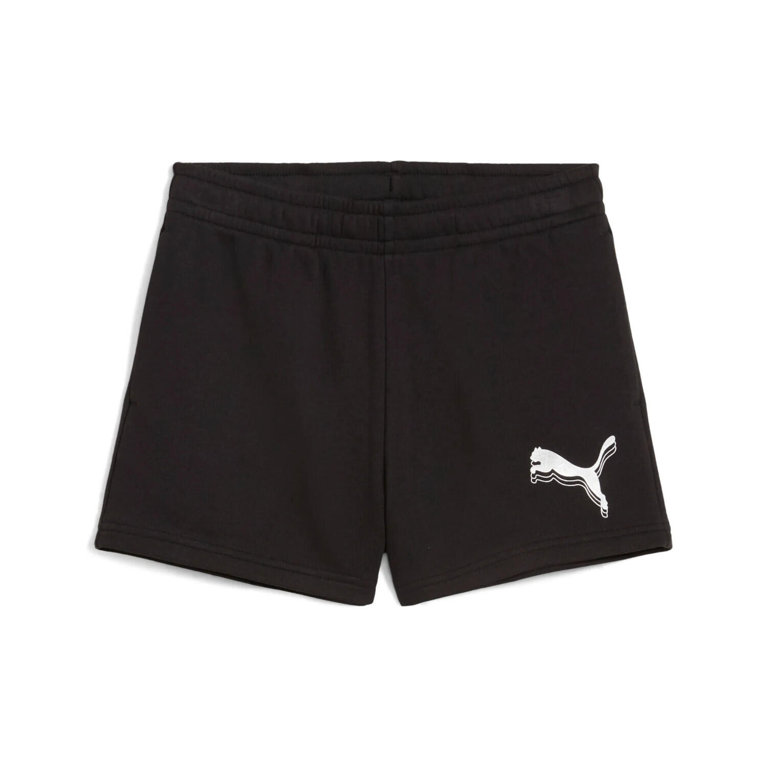 PUMA picture