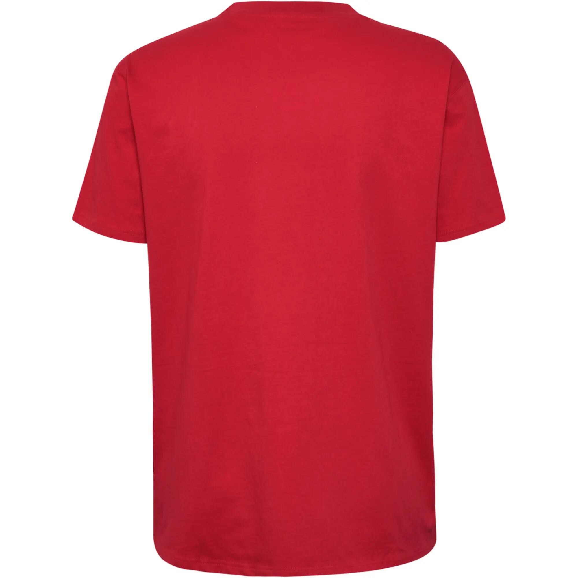 Instap T-Shirt Hmlgo Heren 10/10