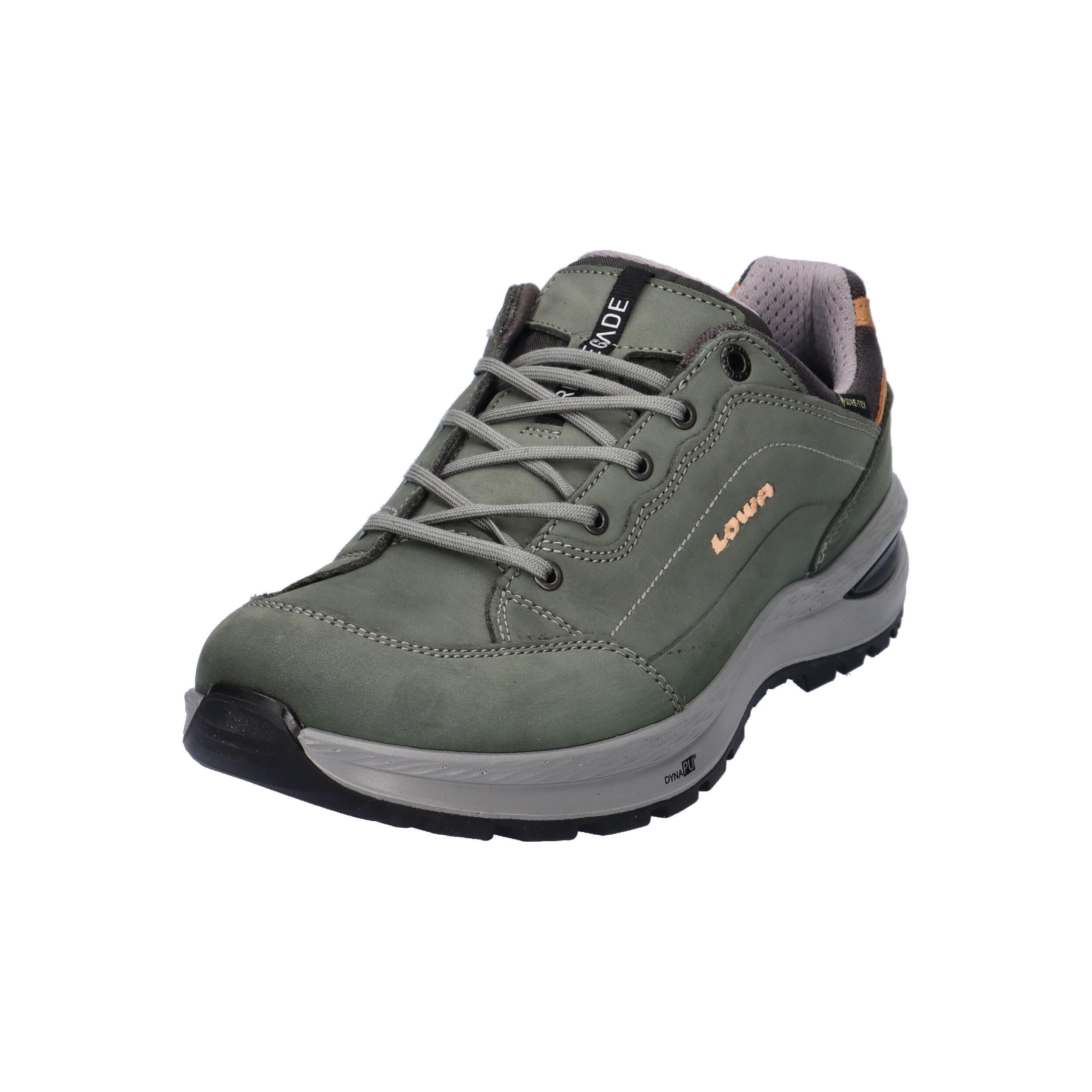 Multifunktionsschuh RENEGADE EVO GTX LO WS 4/15