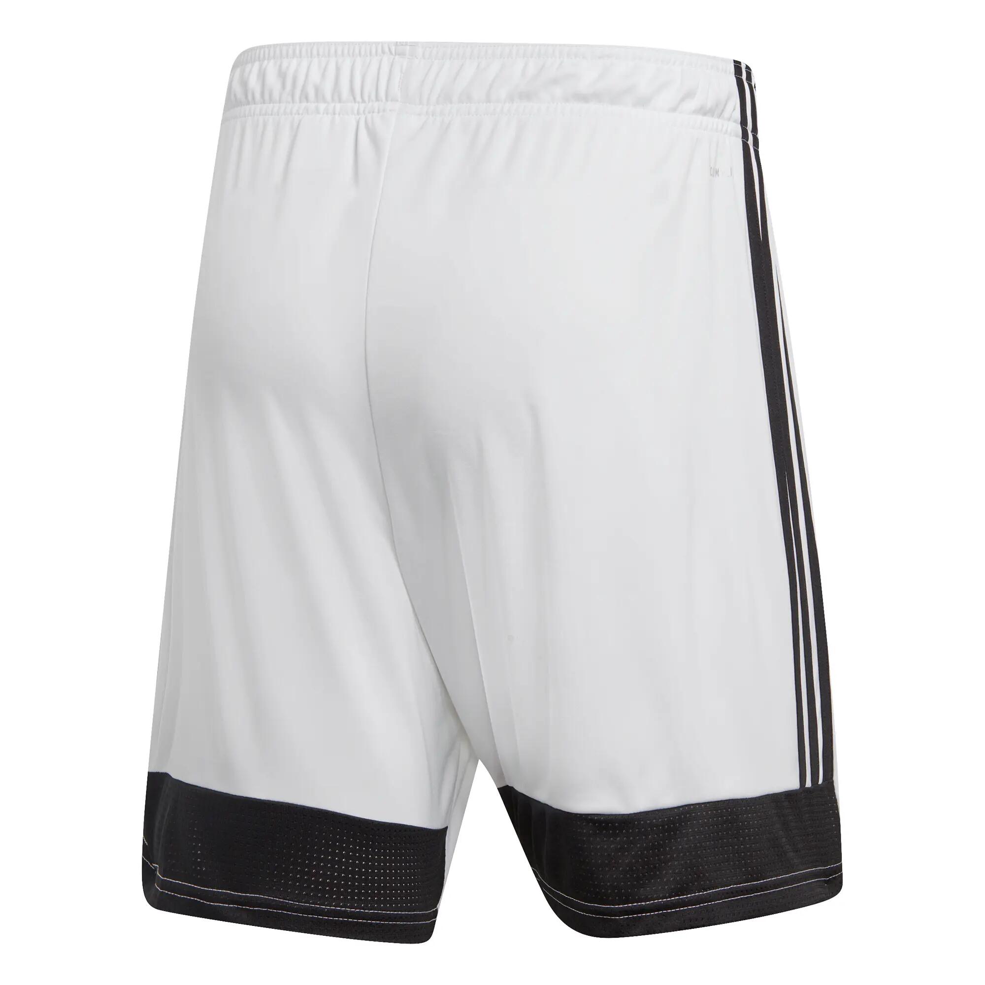 Pantaloncini adidas Tastigo 19 6/6