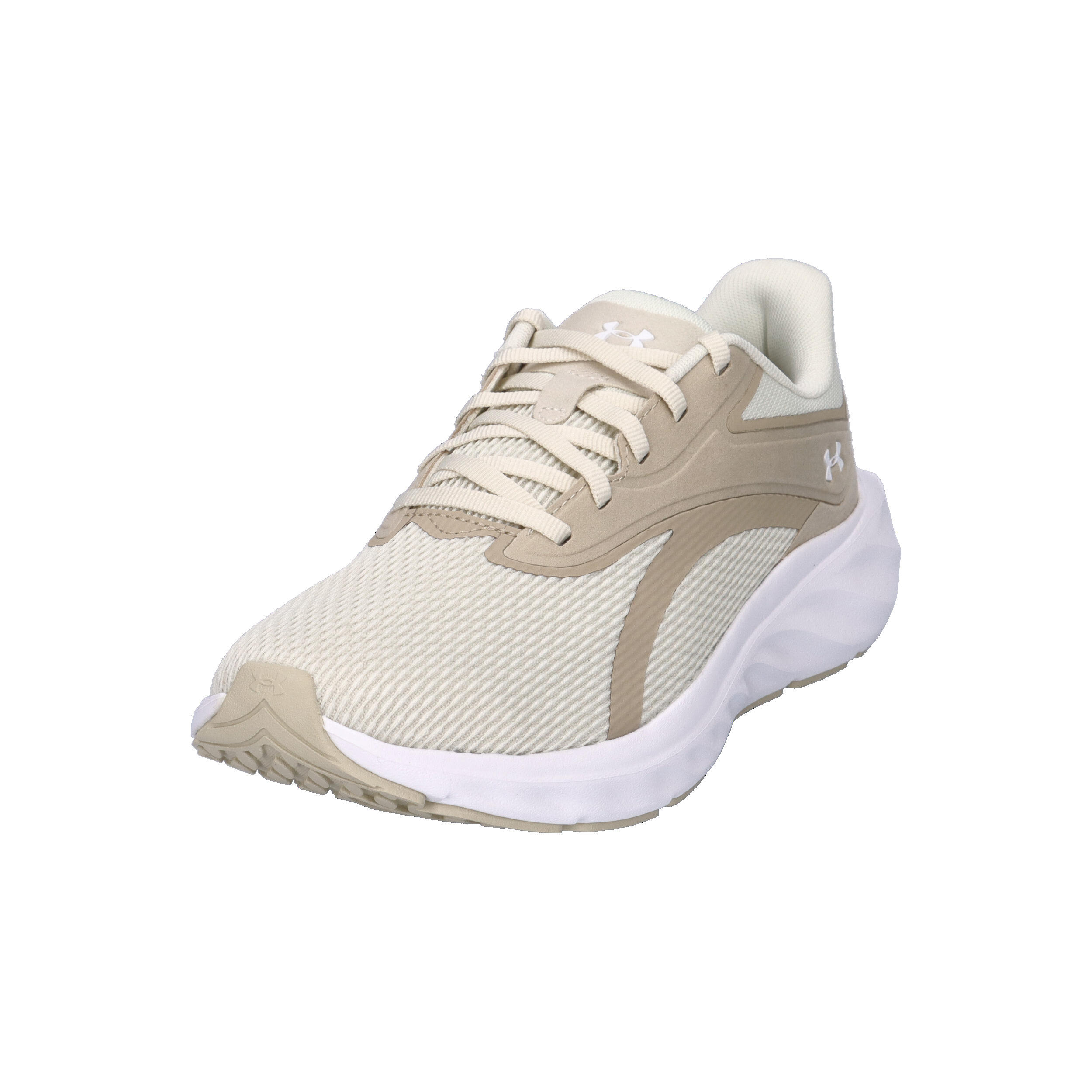 Under Armour Damen Laufschuhe Charged+ Ascend 6009828 4/15