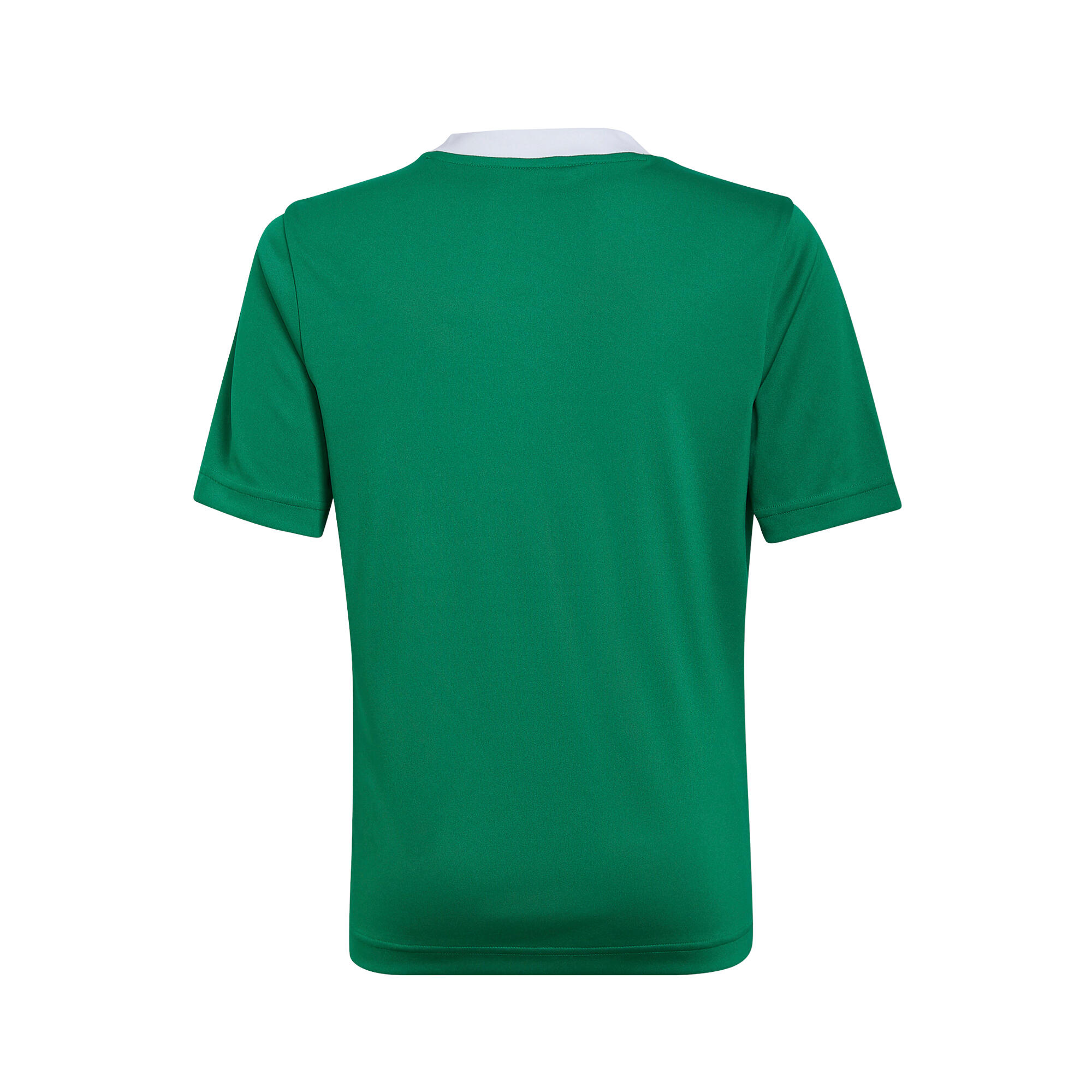 adidas Kinder Trikot Entrada 22 Jersey 8/11
